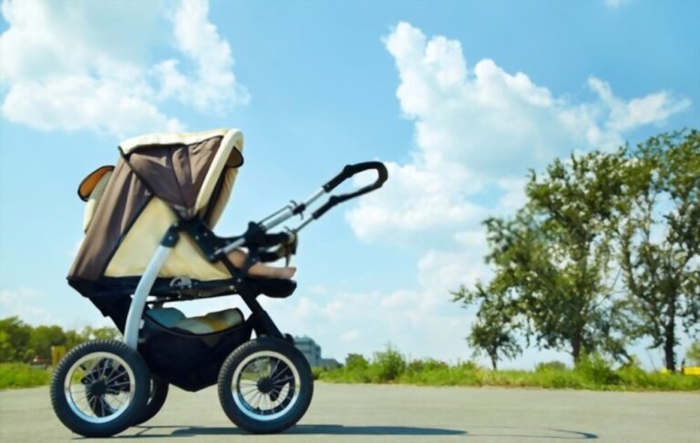 17 Best Stroller With Reversible Seat to Relax Your Baby When Out