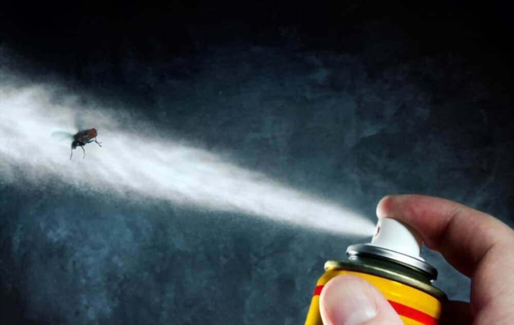 Can I Use Bug Spray on My Infant?