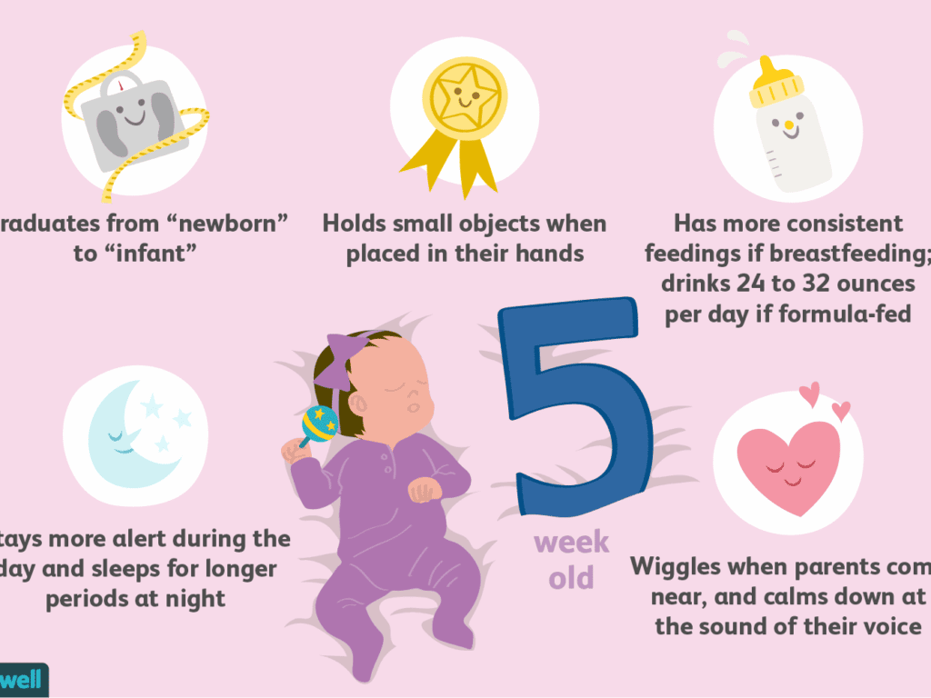 How Much Should A 5 Month Old Weigh? - Look After Babies