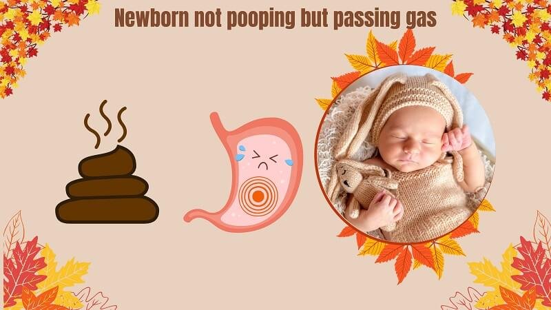 Newborn Not Pooping But Passing Gas