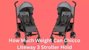 How Much Weight Can Chicco Liteway 3 Stroller Hold