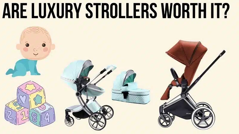Are Luxury Strollers Worth It?
