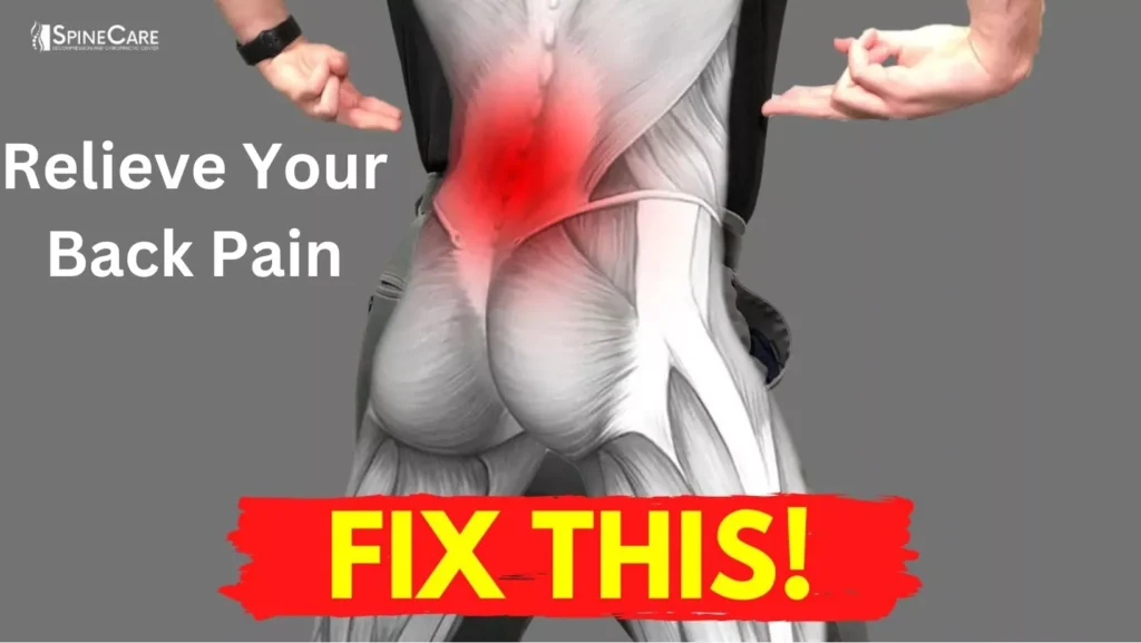 Relieve Your Back Pain